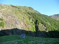 Araing_2009 002